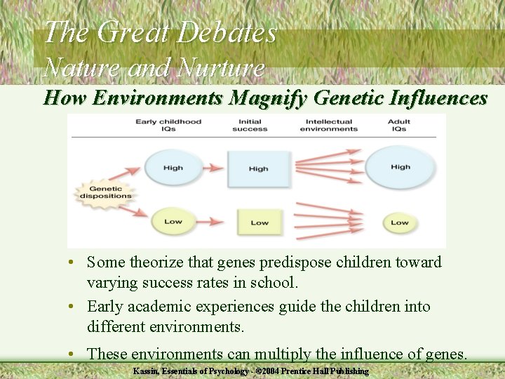The Great Debates Nature and Nurture How Environments Magnify Genetic Influences • Some theorize