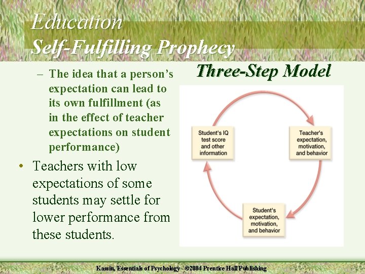 Education Self-Fulfilling Prophecy – The idea that a person’s expectation can lead to its