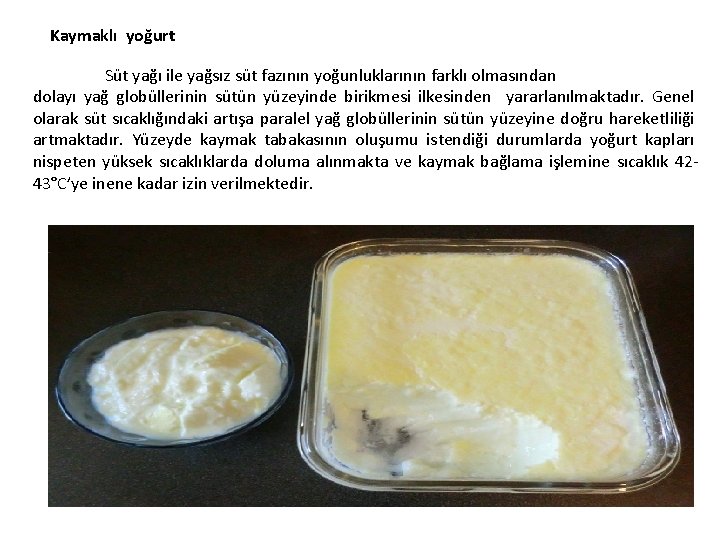 Kaymaklı yoğurt Süt yağı ile yağsız süt fazının yoğunluklarının farklı olmasından dolayı yağ globüllerinin