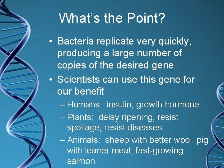 What’s the Point? • Bacteria replicate very quickly, producing a large number of copies