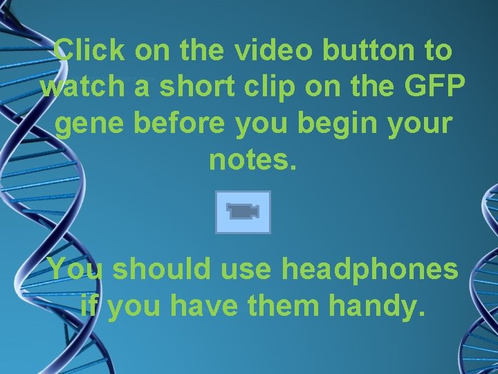 Click on the video button to watch a short clip on the GFP gene