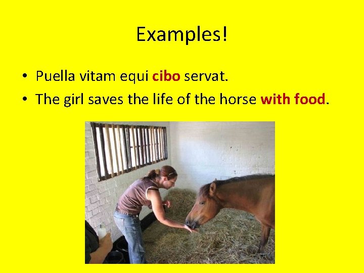 Examples! • Puella vitam equi cibo servat. • The girl saves the life of