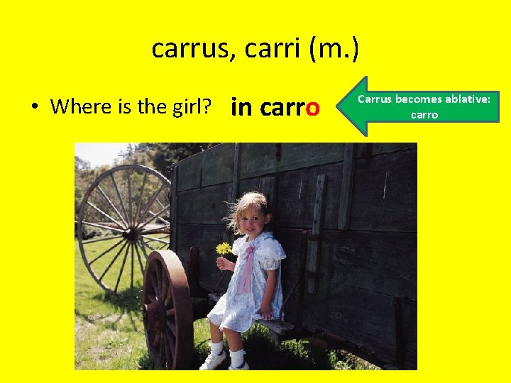 carrus, carri (m. ) • Where is the girl? in carro Carrus becomes ablative: