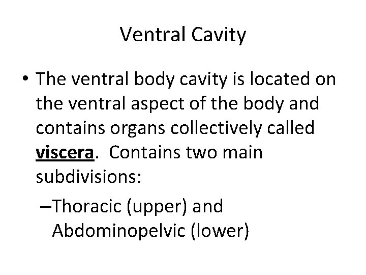 Ventral Cavity • The ventral body cavity is located on the ventral aspect of