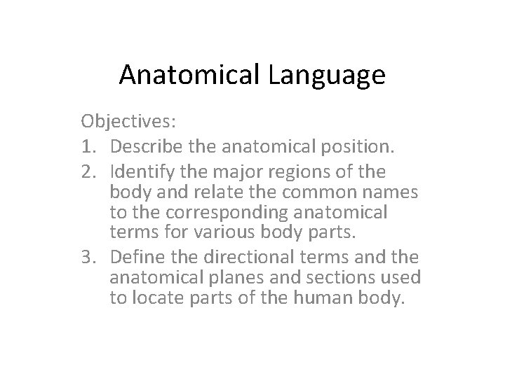 Anatomical Language Objectives: 1. Describe the anatomical position. 2. Identify the major regions of