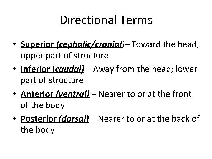 Directional Terms • Superior (cephalic/cranial)– Toward the head; upper part of structure • Inferior