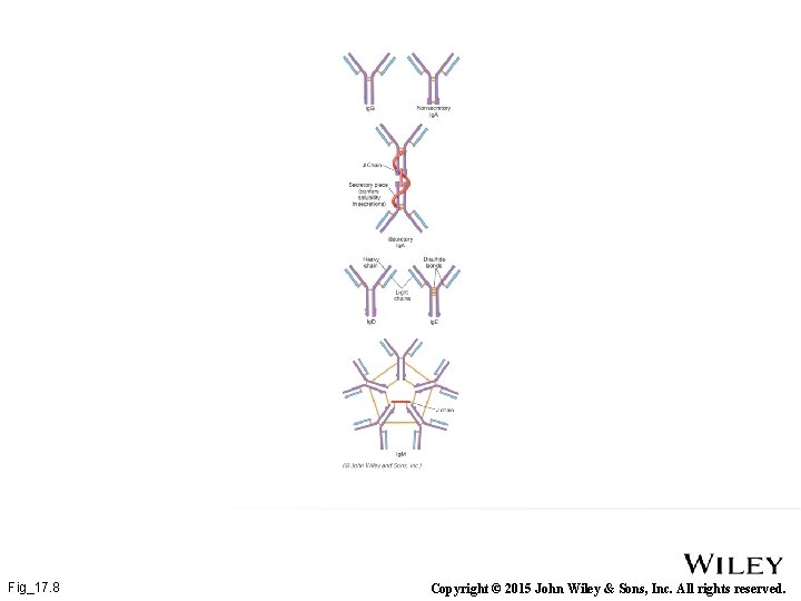 Fig_17. 8 Copyright © 2015 John Wiley & Sons, Inc. All rights reserved. 