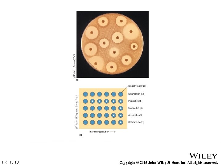 Fig_13. 10 Copyright © 2015 John Wiley & Sons, Inc. All rights reserved. 