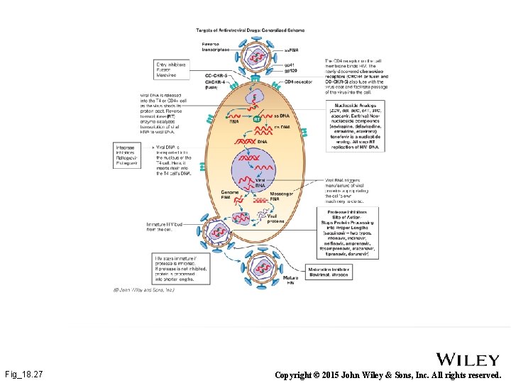 Fig_18. 27 Copyright © 2015 John Wiley & Sons, Inc. All rights reserved. 