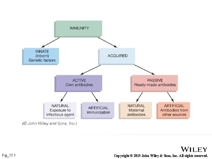 Fig_17. 1 Copyright © 2015 John Wiley & Sons, Inc. All rights reserved. 