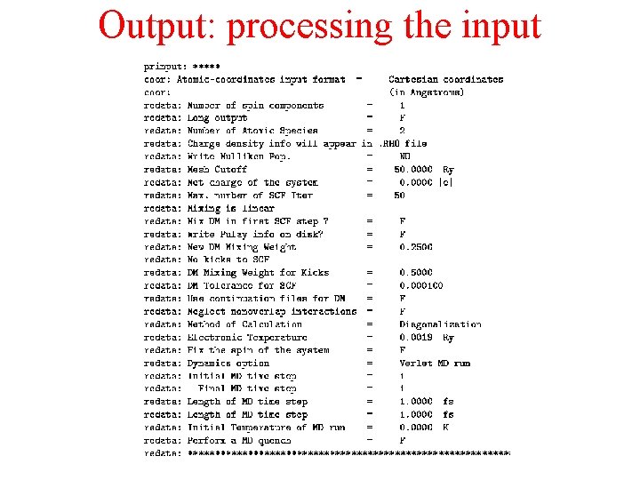Output: processing the input 