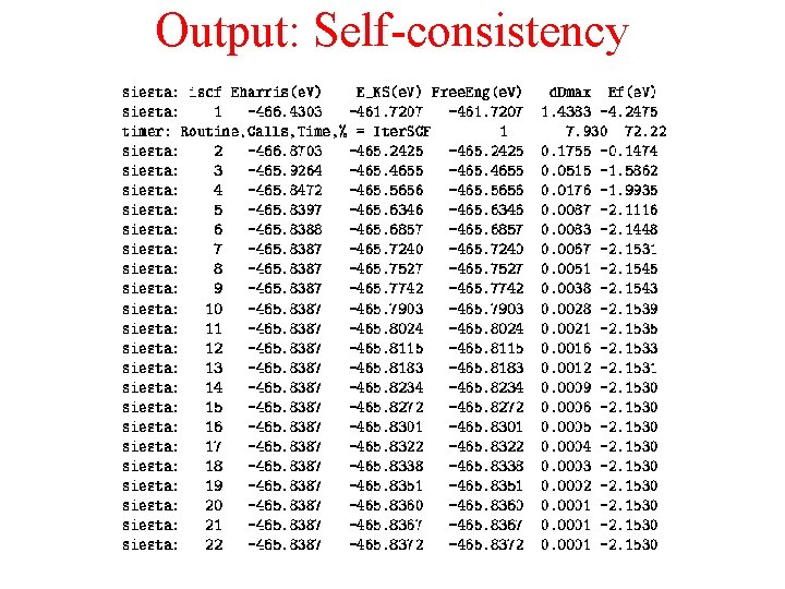 Output: Self-consistency 