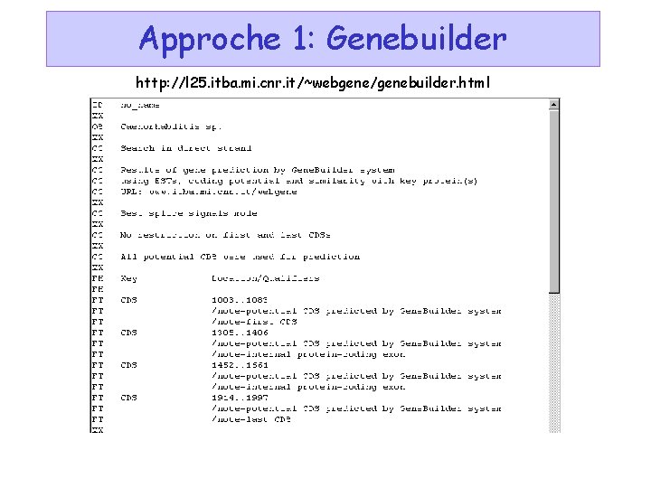 Approche 1: Genebuilder http: //l 25. itba. mi. cnr. it/~webgene/genebuilder. html 