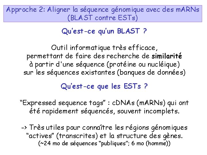 Approche 2: Aligner la séquence génomique avec des m. ARNs (BLAST contre ESTs) Qu’est-ce