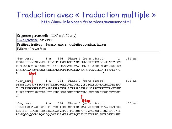 Traduction avec « traduction multiple » http: //www. infobiogen. fr/services/menuserv. html Met Stop 