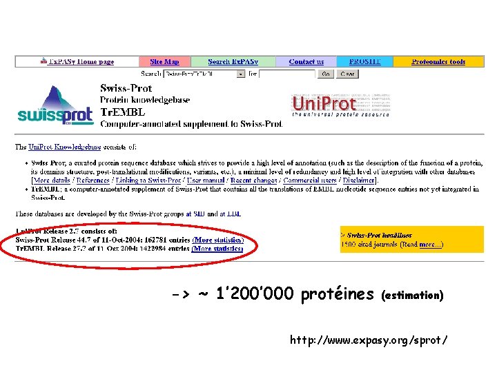 -> ~ 1’ 200’ 000 protéines (estimation) http: //www. expasy. org/sprot/ 