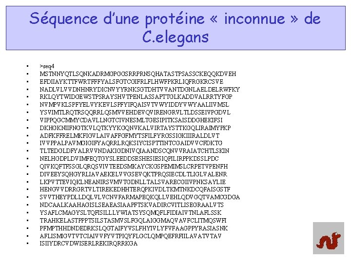 Séquence d’une protéine « inconnue » de C. elegans • • • • •