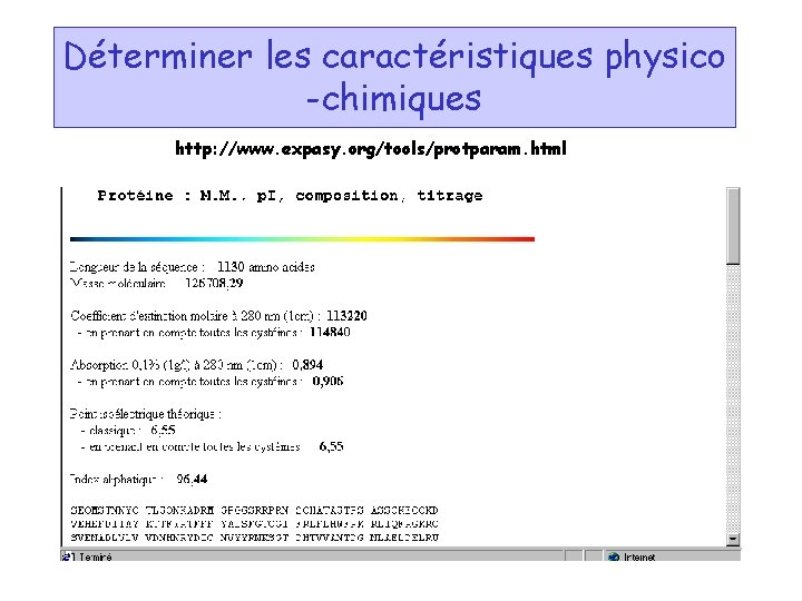 Déterminer les caractéristiques physico -chimiques http: //www. expasy. org/tools/protparam. html 