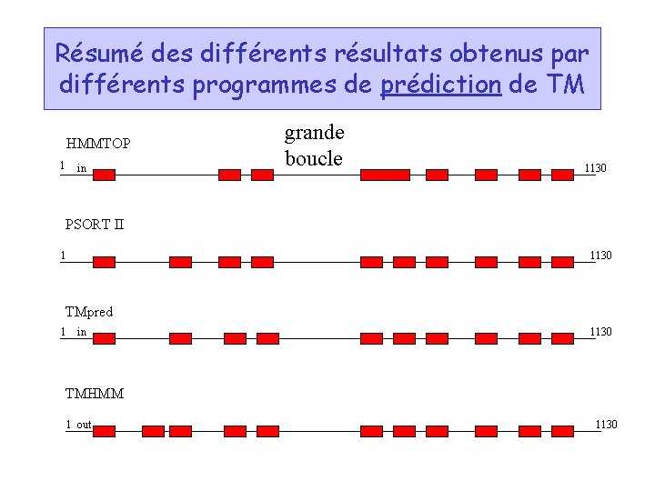 Résumé des différents résultats obtenus par différents programmes de prédiction de TM HMMTOP 1