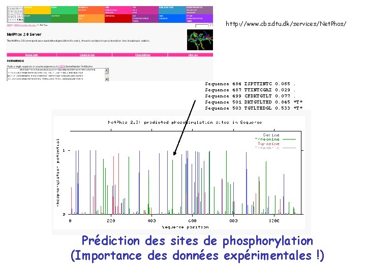 http: //www. cbs. dtu. dk/services/Net. Phos/ Sequence Sequence 484 487 499 501 503 ISPTTINTCGAI