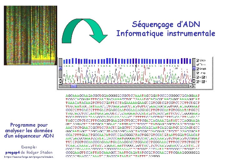 Séquençage d’ADN Informatique instrumentale Programme pour analyser les données d’un séquenceur ADN Exemple: pregap