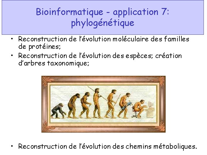 Bioinformatique - application 7: phylogénétique • Reconstruction de l’évolution moléculaire des familles de protéines;