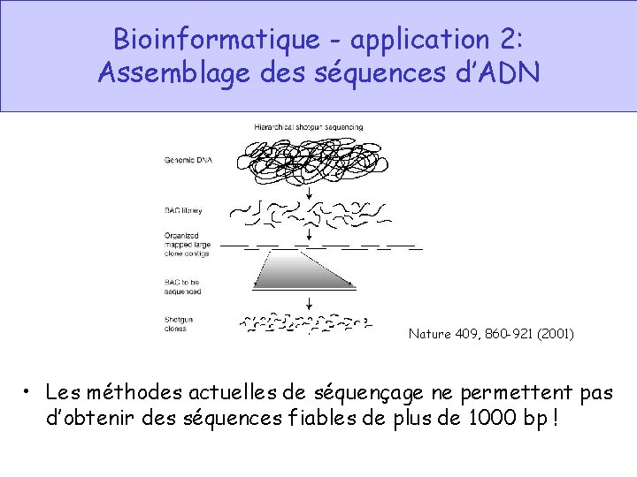 Bioinformatique - application 2: Assemblage des séquences d’ADN Nature 409, 860 -921 (2001) •