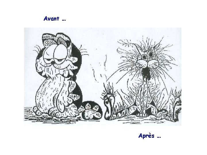 Avant … Après … 