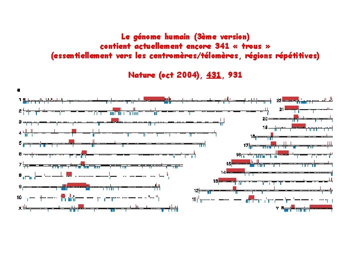 Le génome humain (3ème version) contient actuellement encore 341 « trous » (essentiellement vers