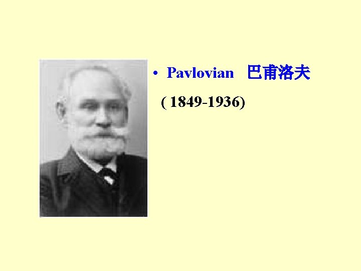 • Pavlovian 巴甫洛夫 ( 1849 -1936) • Pavlovian 巴甫洛夫 ( 1849 -1936)