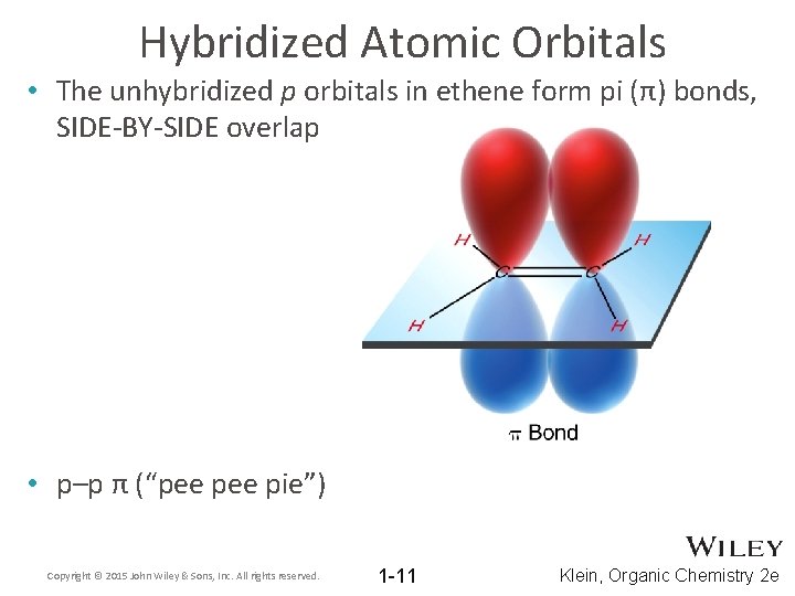 Hybridized Atomic Orbitals • The unhybridized p orbitals in ethene form pi (π) bonds,