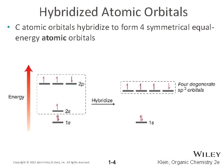 Hybridized Atomic Orbitals • C atomic orbitals hybridize to form 4 symmetrical equalenergy atomic