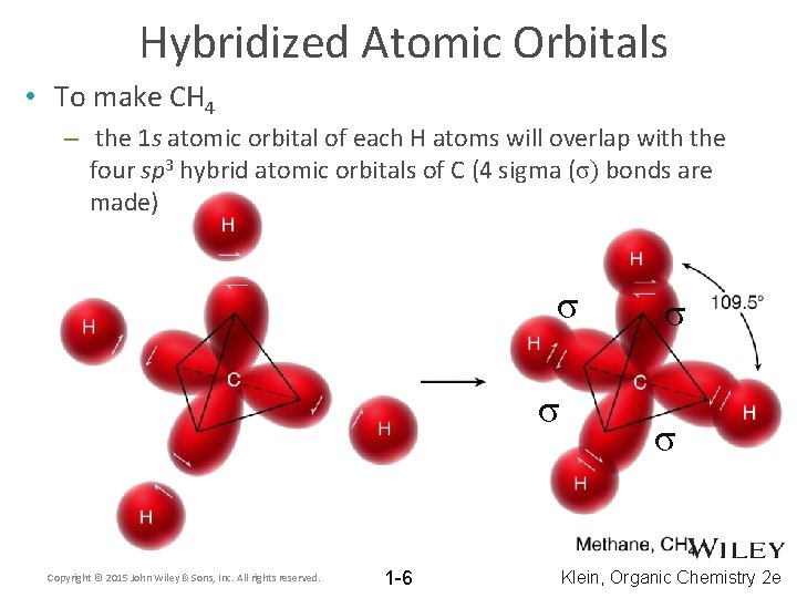 Hybridized Atomic Orbitals • To make CH 4 – the 1 s atomic orbital