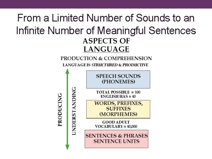 From a Limited Number of Sounds to an Infinite Number of Meaningful Sentences 