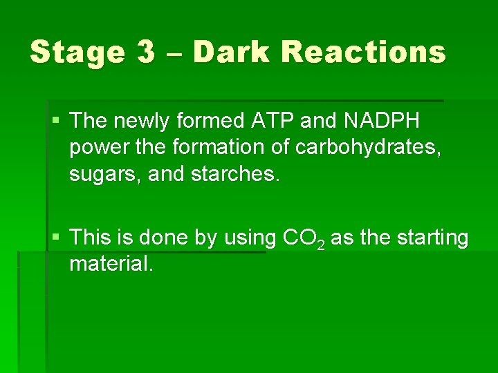 Stage 3 – Dark Reactions § The newly formed ATP and NADPH power the