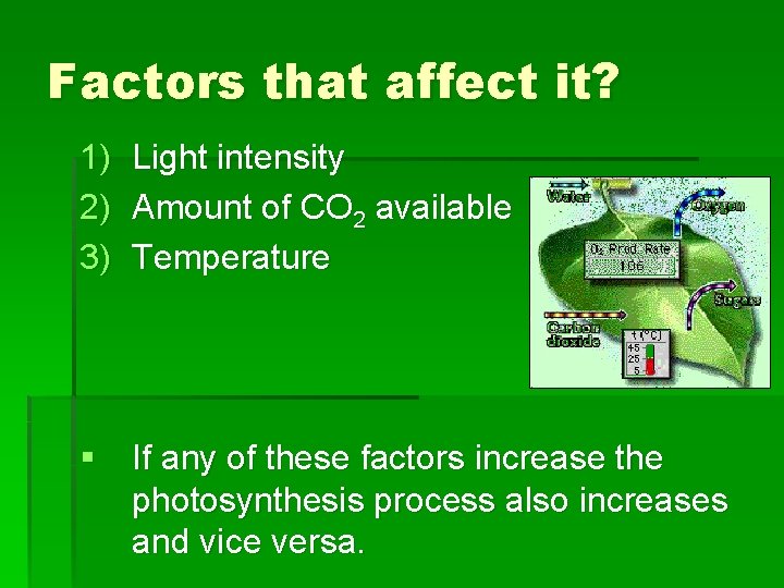 Factors that affect it? 1) 2) 3) Light intensity Amount of CO 2 available