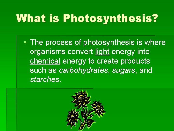 What is Photosynthesis? § The process of photosynthesis is where organisms convert light energy