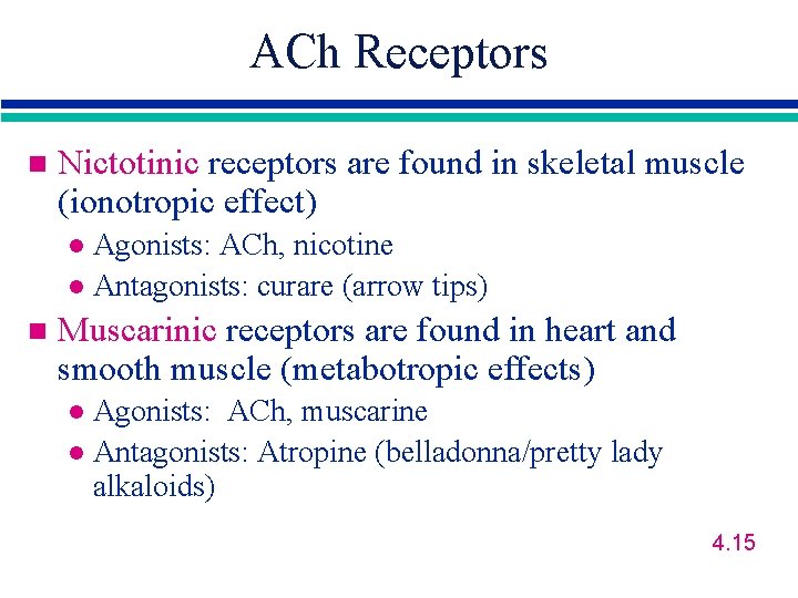 ACh Receptors n Nictotinic receptors are found in skeletal muscle (ionotropic effect) Agonists: ACh,