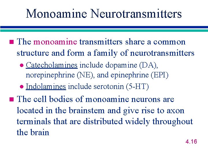 Monoamine Neurotransmitters n The monoamine transmitters share a common structure and form a family