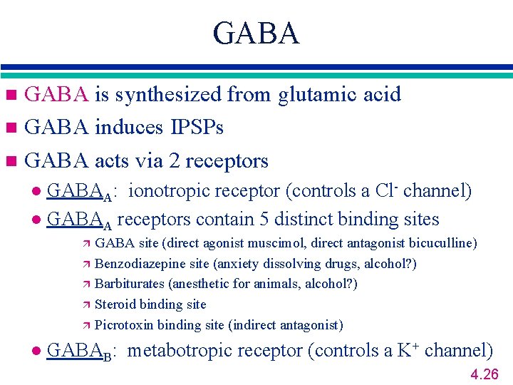 GABA is synthesized from glutamic acid n GABA induces IPSPs n GABA acts via