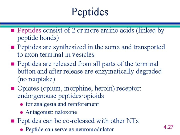 Peptides n n Peptides consist of 2 or more amino acids (linked by peptide