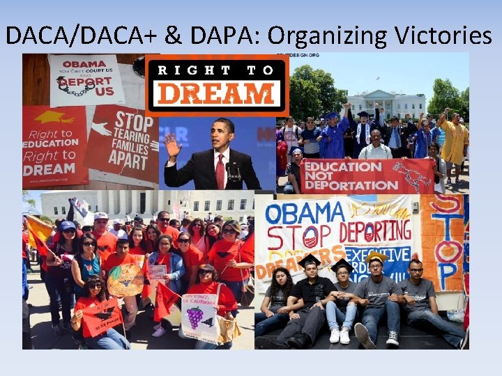 DACA/DACA+ & DAPA: Organizing Victories 