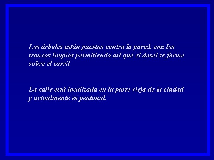 Los árboles están puestos contra la pared, con los troncos limpios permitiendo así que