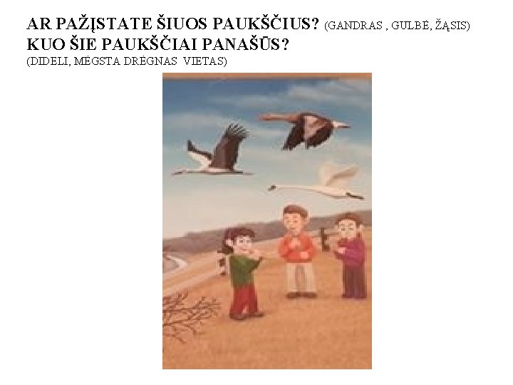 AR PAŽĮSTATE ŠIUOS PAUKŠČIUS? (GANDRAS , GULBĖ, ŽĄSIS) KUO ŠIE PAUKŠČIAI PANAŠŪS? (DIDELI, MĖGSTA