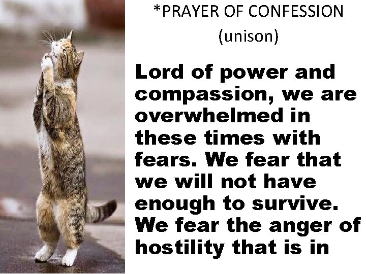 *PRAYER OF CONFESSION (unison) Lord of power and compassion, we are overwhelmed in these