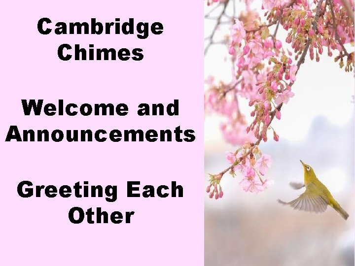 Cambridge Chimes Welcome and Announcements Greeting Each Other 