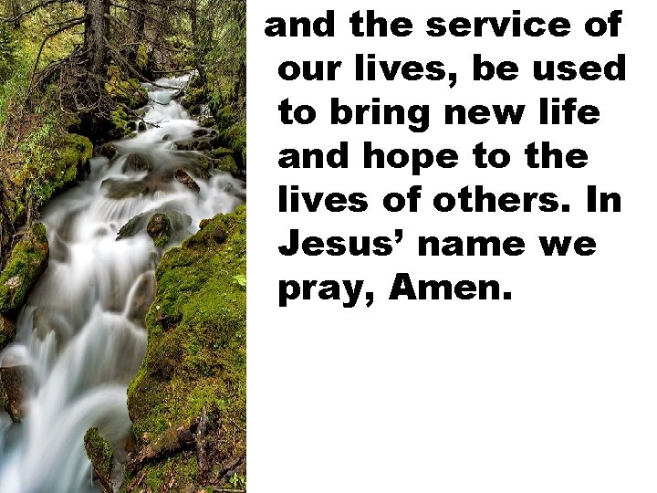 and the service of our lives, be used to bring new life and hope