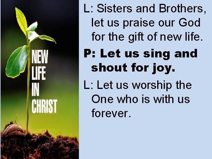 L: Sisters and Brothers, let us praise our God for the gift of new