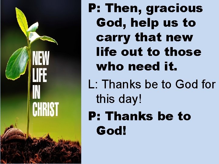 P: Then, gracious God, help us to carry that new life out to those