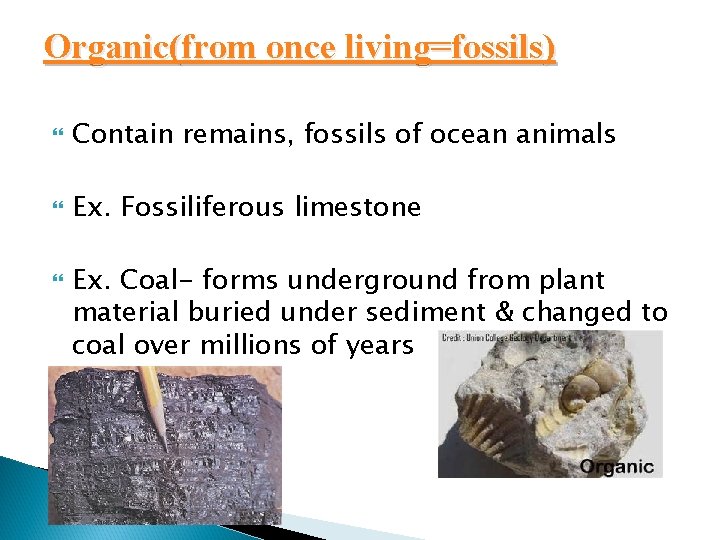 Organic(from once living=fossils) Contain remains, fossils of ocean animals Ex. Fossiliferous limestone Ex. Coal-